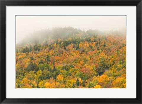 Framed New Hampshire, White Mountain National Forest, Autumn Print