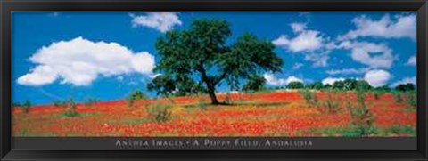 Framed Poppy Field, Andalusia Print