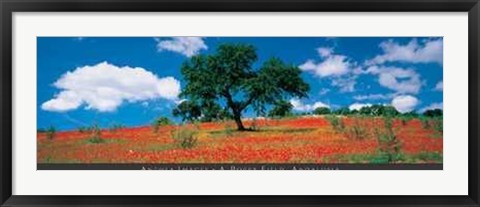 Framed Poppy Field, Andalusia Print