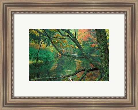 Framed Fall Along the Lamprey River in Durham, New Hampshire Print