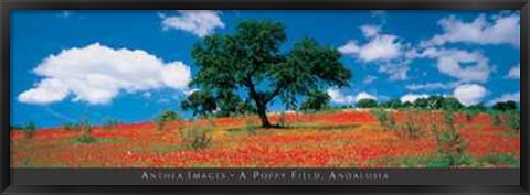 Framed Poppy Field, Andalusia Print