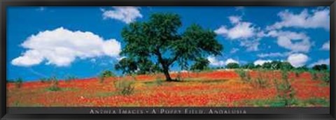 Framed Poppy Field, Andalusia Print