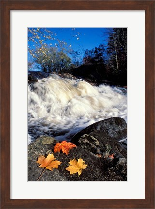 Framed Maple Leaves and Wadleigh Falls on the Lamprey River, New Hampshire Print