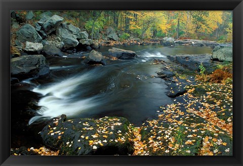 Framed Autumn Leaves at Packers Falls on the Lamprey River, New Hampshire Print