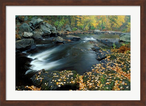 Framed Autumn Leaves at Packers Falls on the Lamprey River, New Hampshire Print