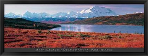 Framed Denali National Park, Alaska Print