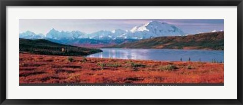 Framed Denali National Park, Alaska Print