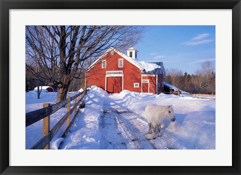 Framed Pony and Barn near the Lamprey River in Winter, New Hampshire Print