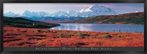 Framed Anonymous - Denali National Park, Alaska Size 54.5x19 Print