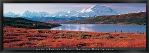 Framed Anonymous - Denali National Park, Alaska Size 54.5x19 Print