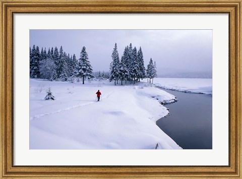 Framed Snowshoeing on the Shores of Second Connecticut Lake, Northern Forest, New Hampshire Print