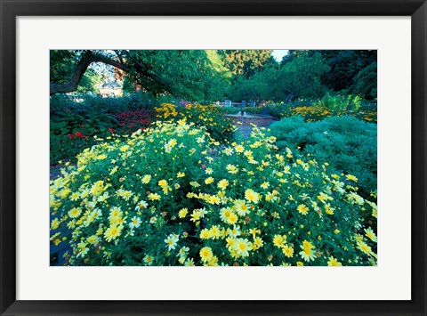 Framed Prescott Park Garden, New Hampshire Print