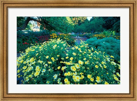 Framed Prescott Park Garden, New Hampshire Print