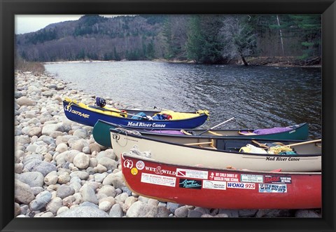 Framed Paddling the Pemigewasset River, White Mountains, New Hampshire Print