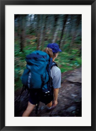 Framed Backpacking on Franconia Ridge Trail, Boreal Forest, New Hampshire Print