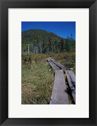 Framed Tamarack Bog Bridge on the Lonesome Lake Trail, New Hampshire Print