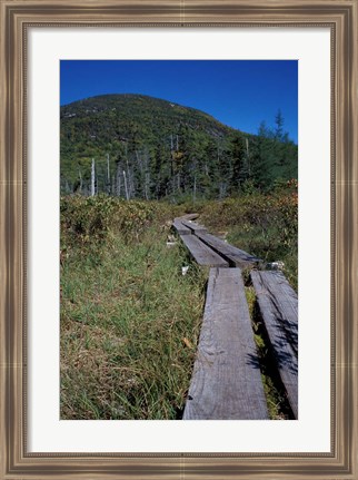 Framed Tamarack Bog Bridge on the Lonesome Lake Trail, New Hampshire Print