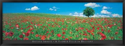 Framed Flower Field in Brittany Print