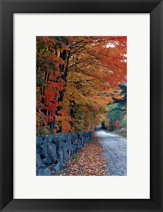 Framed Fall Colors in the White Mountains, New Hampshire Print