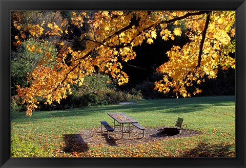 Framed Fall Foliage on Cohos Trail, Zealand Campground, Twin Mountain, New Hampshire Print