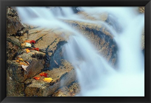 Framed Pearl Cascade on the Avalon Trail, New Hampshire Print