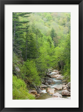 Framed Spring on the Pemigewasset River, Flume Gorge, Franconia Notch State Park, New Hampshire Print