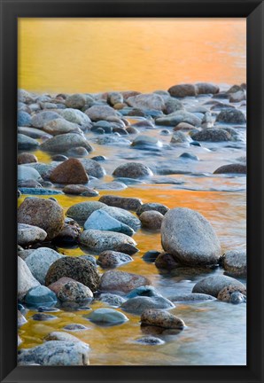 Framed Fall Reflections Among the Cobblestones in the Saco River, White Mountains, New Hampshire Print