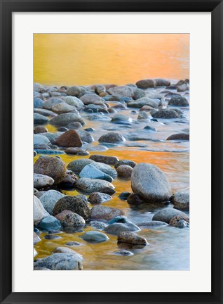 Framed Fall Reflections Among the Cobblestones in the Saco River, White Mountains, New Hampshire Print