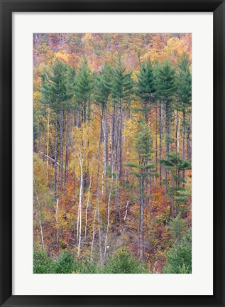 Framed White Mountains in Fall, New Hampshire Print