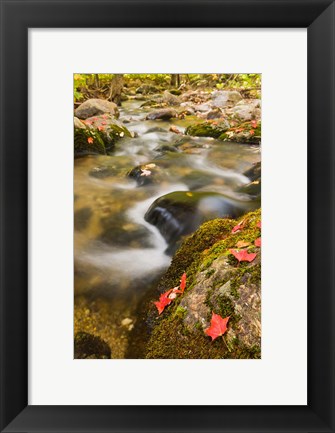 Framed stream in fall, Grafton, New Hampshire Print