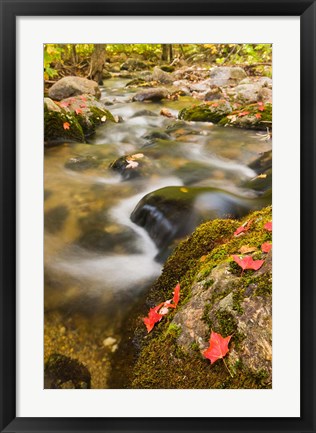 Framed stream in fall, Grafton, New Hampshire Print