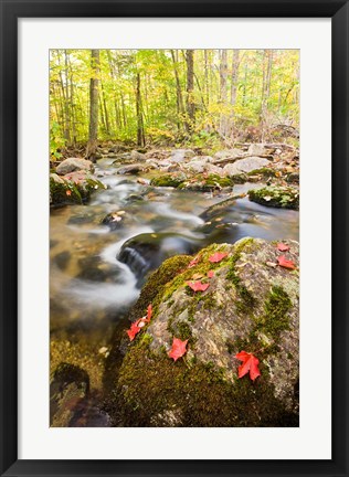 Framed Autumn stream, Grafton, New Hampshire Print