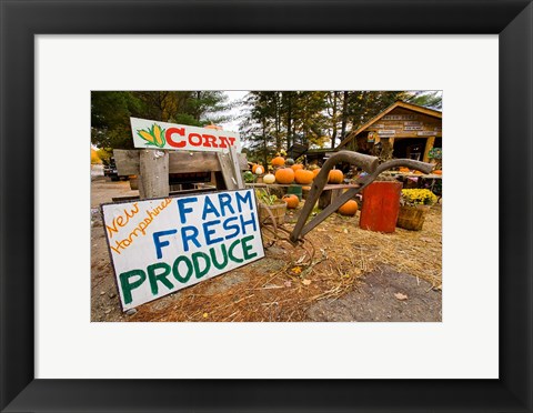 Framed Farm stand in Holderness, New Hampshire Print