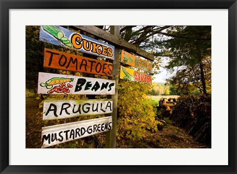 Framed farm stand, Holderness, New Hampshire Print