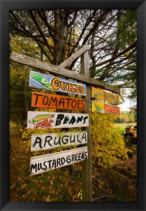 Framed Farm stand in Holderness, New Hampshire Print