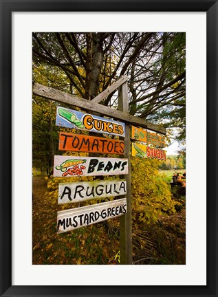 Framed Farm stand in Holderness, New Hampshire Print