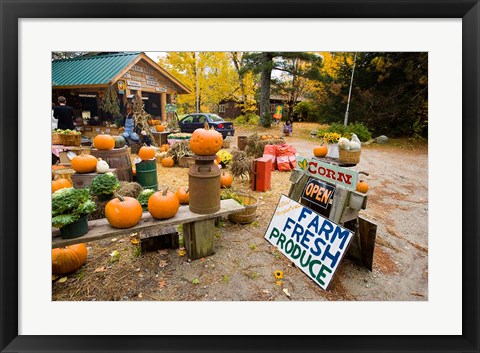 Framed Farm stand, Holderness, New Hampshire Print