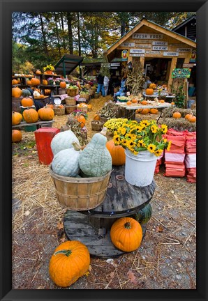 Framed farm stand in Holderness, New Hampshire Print