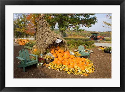 Framed Moulton Farm farmstand in Meredith, New Hampshire Print