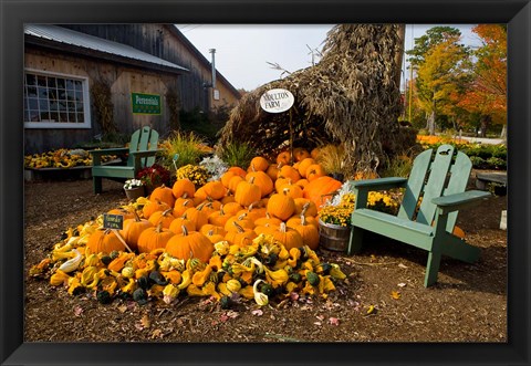 Framed Gourds at the Moulton Farm farmstand in Meredith, New Hampshire Print