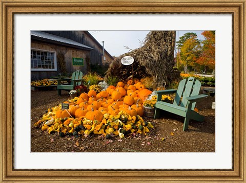 Framed Gourds at the Moulton Farm farmstand in Meredith, New Hampshire Print