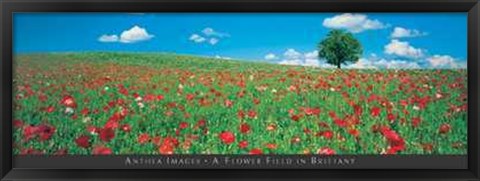 Framed Flower Field in Brittany Print