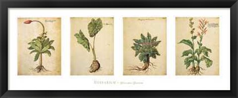 Framed Herbarium I Print