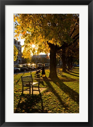 Framed Late afternoon on the Dartmouth College Green,  New Hampshire Print