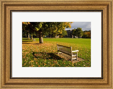 Framed Dartmouth College Green in Hanover, New Hampshire Print