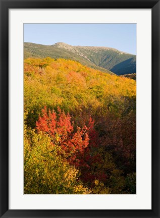 Framed Mount Lafayette in fall, White Mountain National Forest, New Hampshire Print