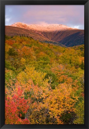 Framed Mt Lafayette in Autumn, New Hampshire Print