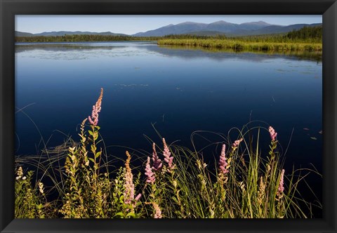 Framed Big Cherry Pond, New Hampshire Print