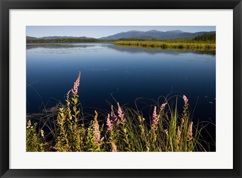 Framed Big Cherry Pond, New Hampshire Print