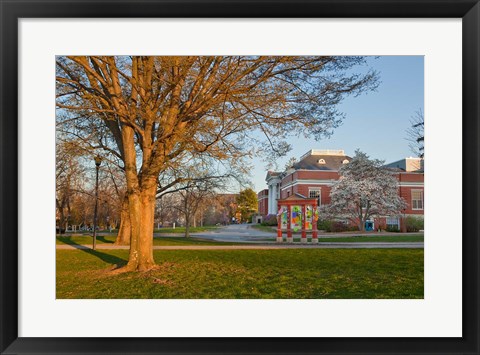 Framed Education, University of New Hampshire Print